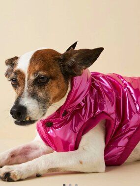 NWT Anthropologie FOUND MY ANIMAL Dog raspberry puffer coat M